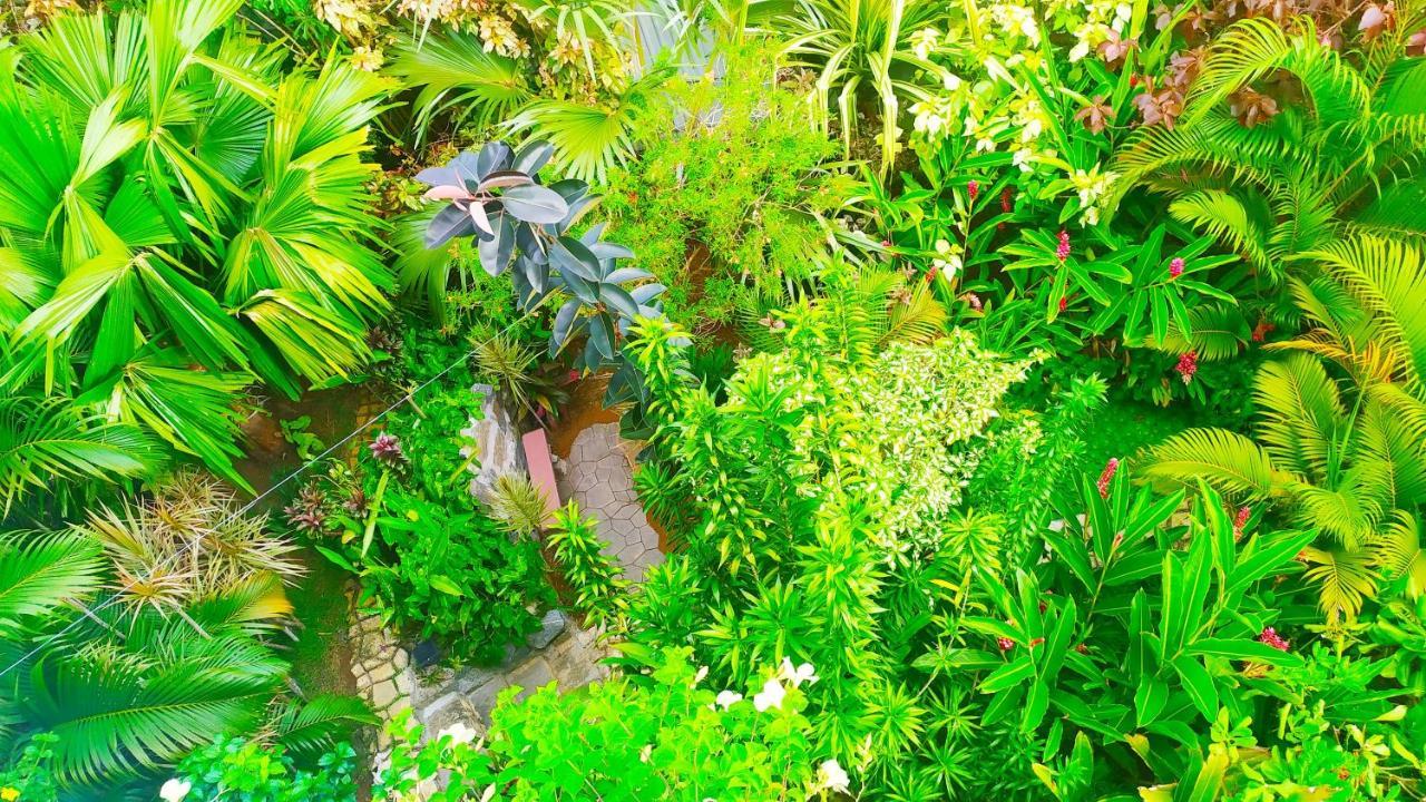 Villa Modara Тангалла Экстерьер фото